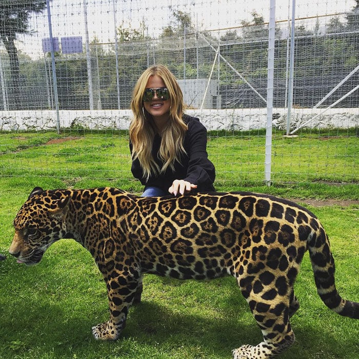 Khloé Kardashian pets a big cat at an animal sanctuary in Mexico