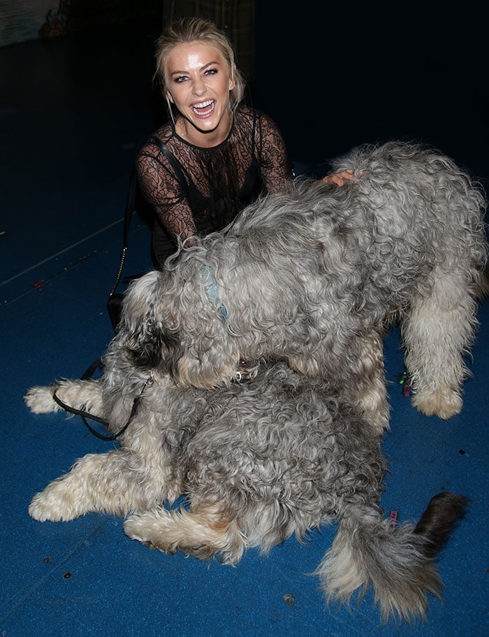 Julianne Hough plays with two English sheepdogs during a New York City theater visit