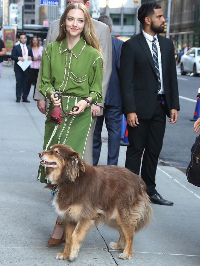 Amanda Seyfried brings her rescue dog Finn with her as she arrives at her interview on The Late Show with Stephen Colbert