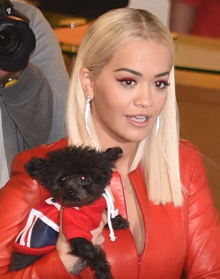 Rita Ora holds her pet dog while leaving Fountain Studios