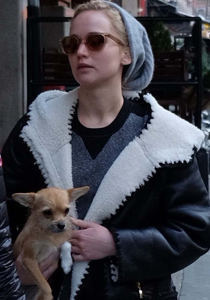 Jennifer Lawrence covers her hair with a beanie during a Manhattan outing with her dog