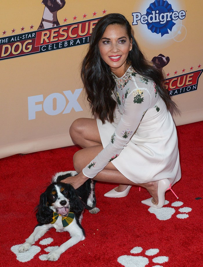 Olivia Munn poses with her pet Cocker Spaniel Chance on the red carpet