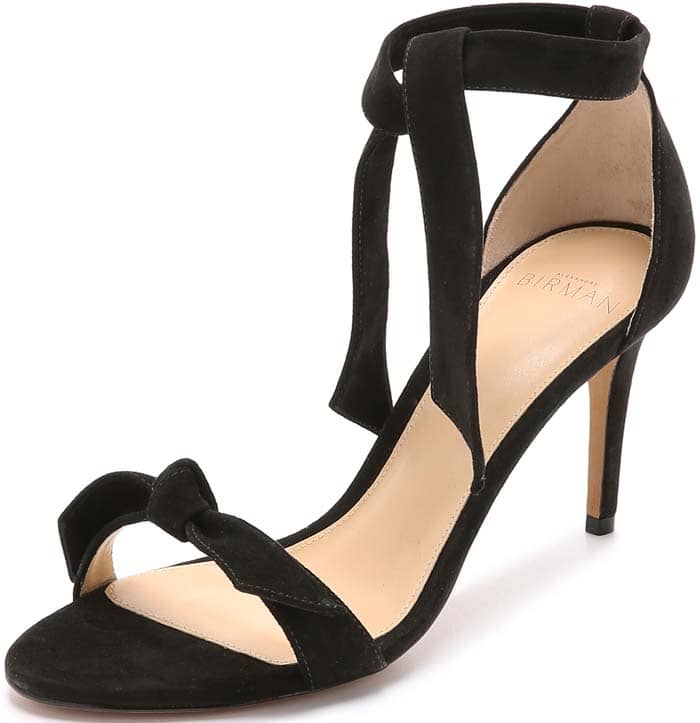 Alexandre Birman Suede Tie Sandals