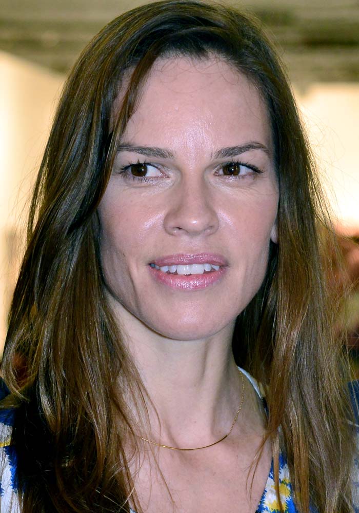 Hilary Swank broke up with her long-time boyfriend Laurent Fleury earlier this year