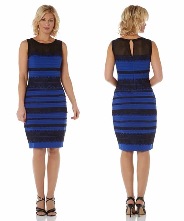 Roman Originals Royal Blue #TheDress Lace Bodycon Dress