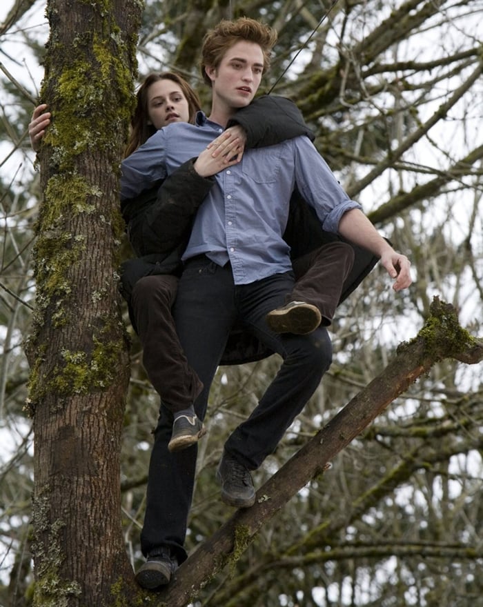 Kristen Stewart and Robert Pattinson in the 2008 American romantic fantasy film Twilight