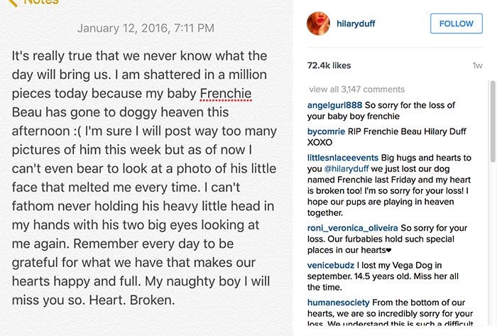 Hilary Duff expressed her heartbreak on Instagram over the passing of her French bulldog, Beau