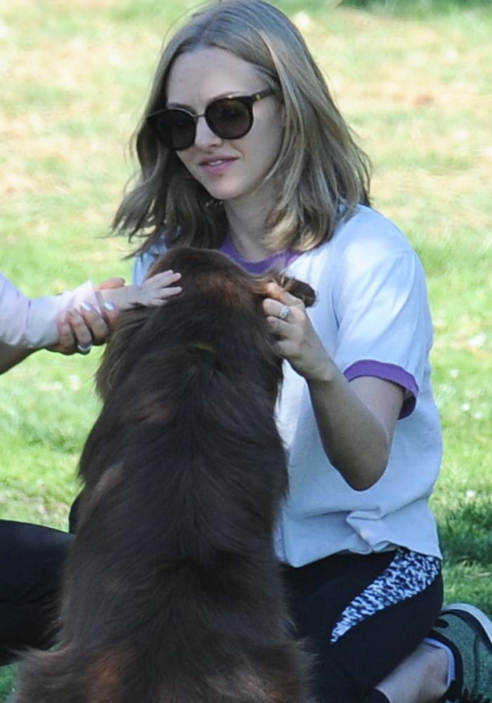 Amanda Seyfried leaves her hair down for a dog park trip in West Hollywood