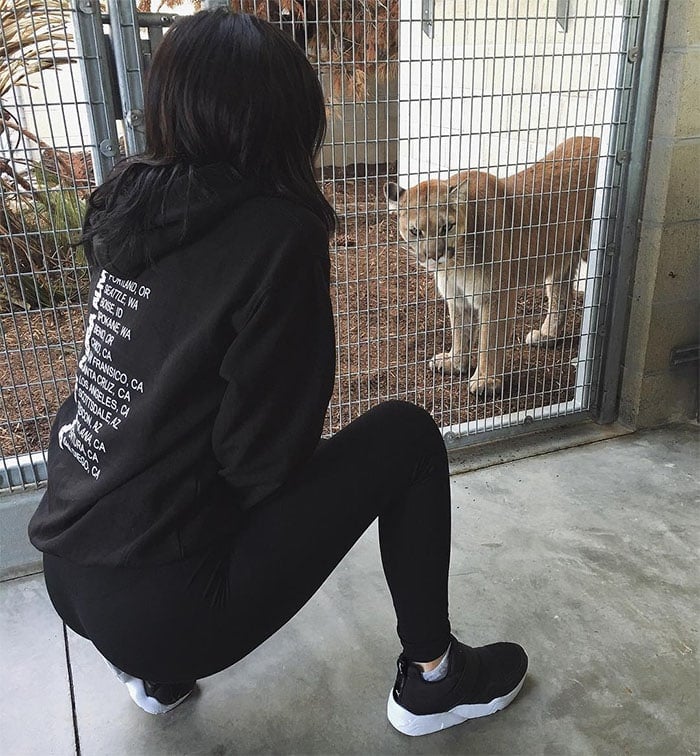 Kylie Jenner Puma vs Puma