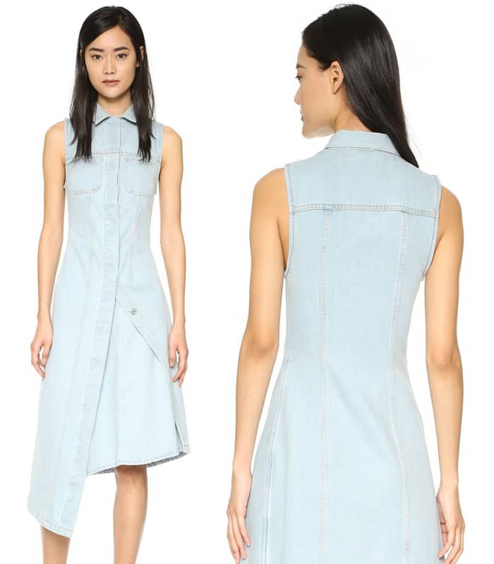 Acne Carda Denim Dress