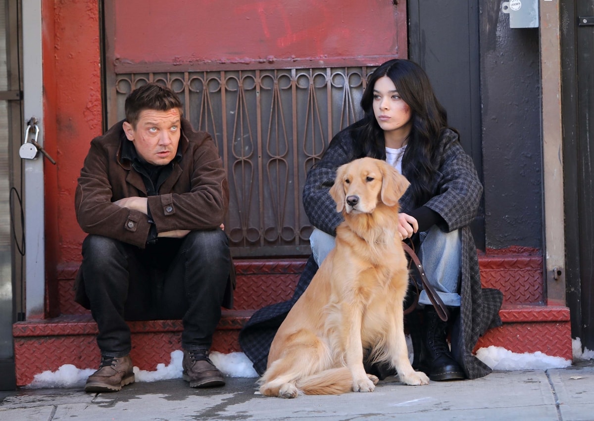 Jeremy Renner and Hailee Steinfeld filming a scene with Kate Bishop's adopted golden retriever Pizza Dog for the American television miniseries Hawkeye