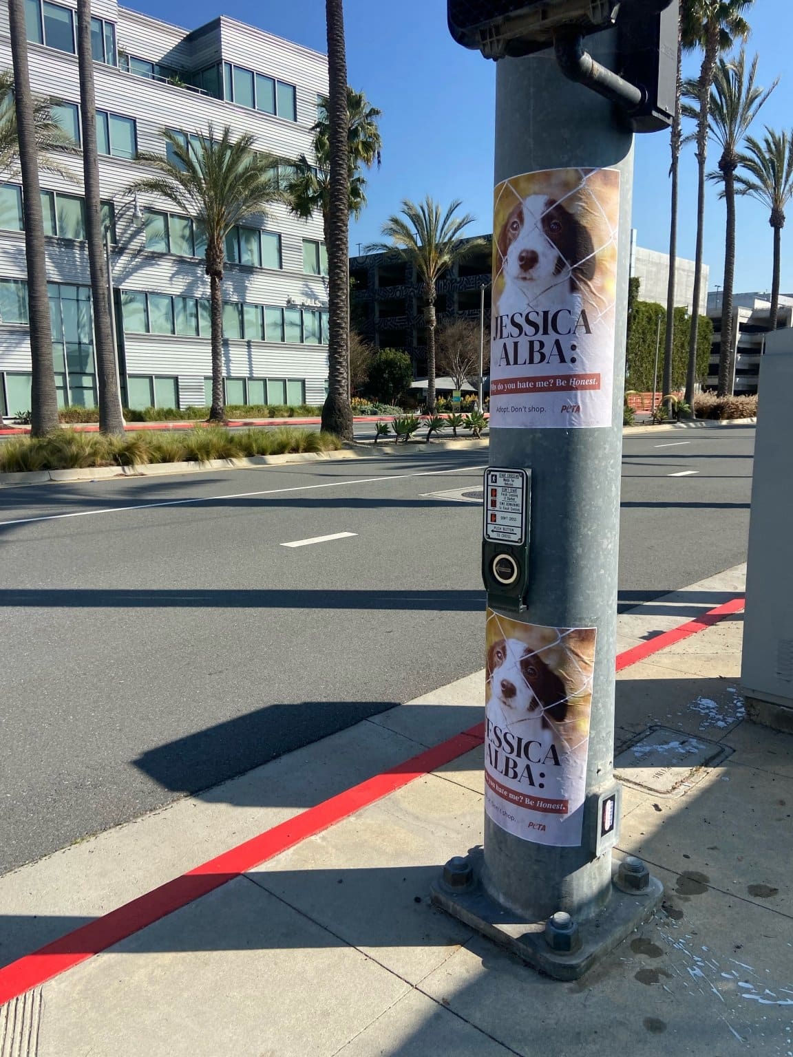 In January 2022, PETA (People for the Ethical Treatment of Animals) attacked Jessica Alba by plastering her Beverly Hills neighborhood in Los Angeles with posters blasting her decision to purchase two dogs instead of adopting
