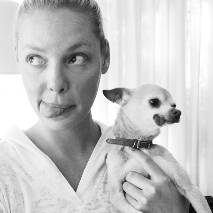 Katherine Heigl poses with her rescued Chihuahua Gertie