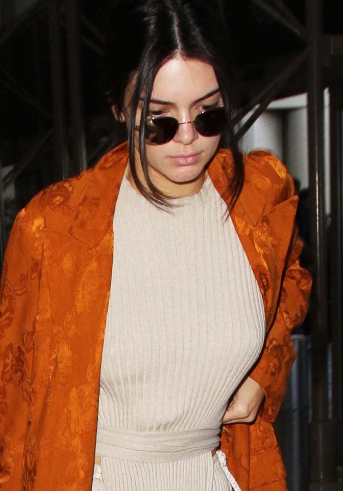Kendall Jenner wears an Etro coat with a sand-colored Elle Sasson Anouck belted sweater