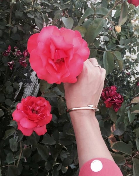Vanessa Hudgens reaches for a flower with a snake bracelet that symbolizes wisdom, healing, and infinity