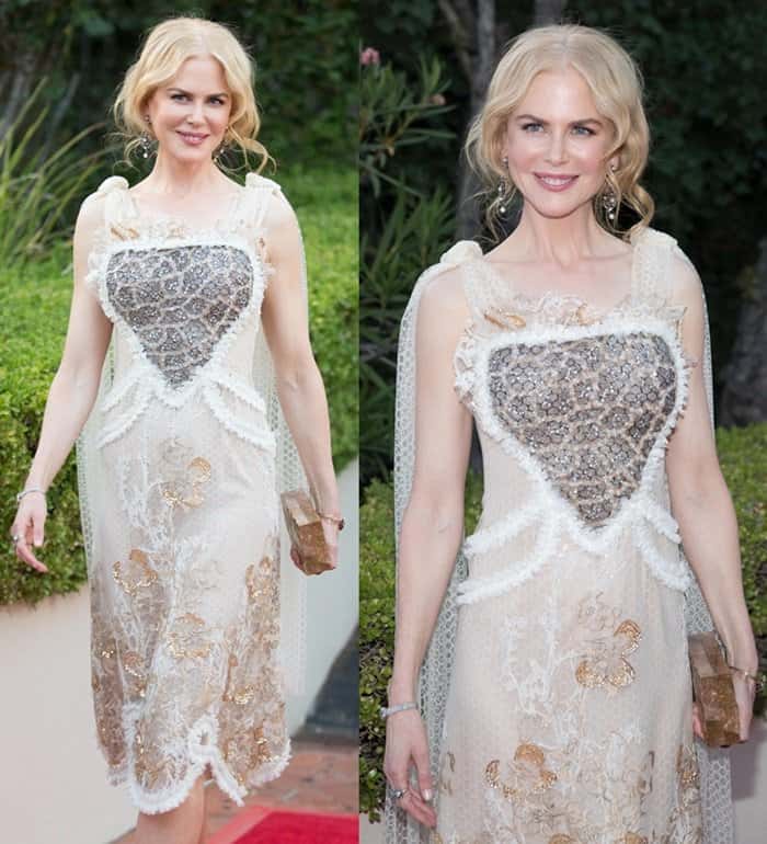 Nicole Kidman's dress featured sheer mesh paneling, a delicate blush-toned underlayer, and intricate embellishments that added to its charm