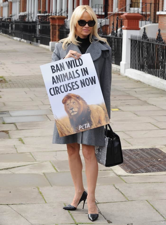 Pamela Anderson advocates against the use of wild animals in circuses for entertainment and financial gain