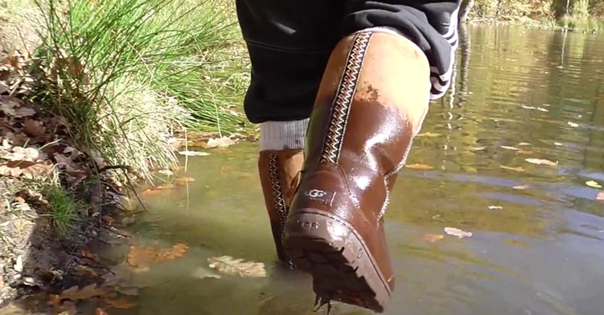 Dry Uggs That Got Wet in the Rain