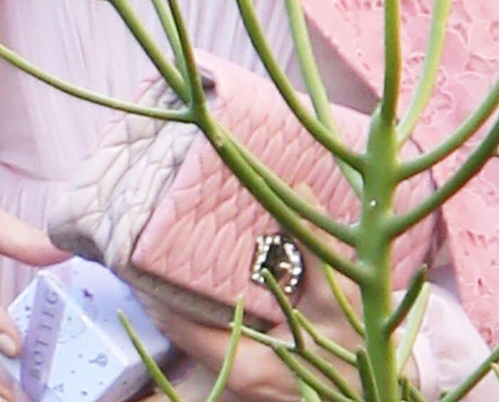 Michelle offers a close-up look at her ombré pink Miu Miu clutch, featuring embossed leather and a jeweled clasp