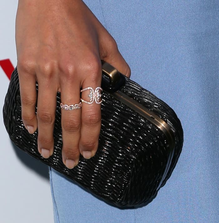 Freida Pinto accessorized with a black clutch and an array of exquisite jewels