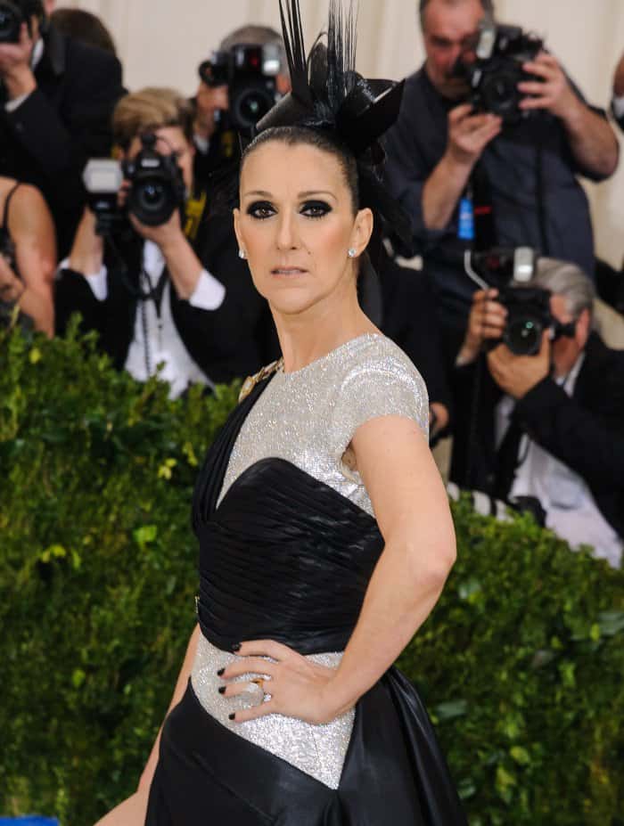 Celine Dion's sculptural updo added a cool edge to her ensemble