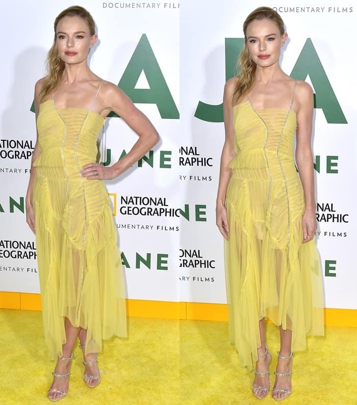 Kate Bosworth donned a Preen by Thornton Bregazzi Spring 2018 yellow pleated, silk-chiffon dress at the premiere Of National Geographic Documentary Films' "Jane"