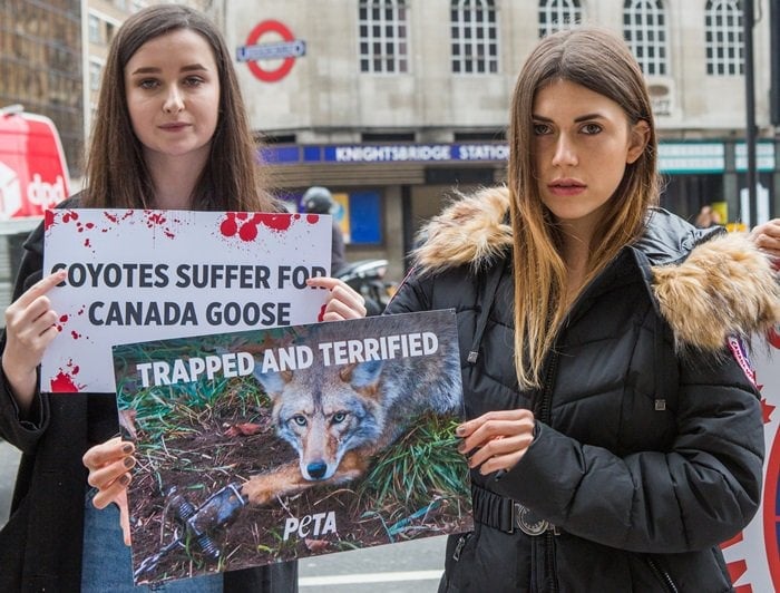 PETA protesters accusing Canada Goose of cruel use of fur