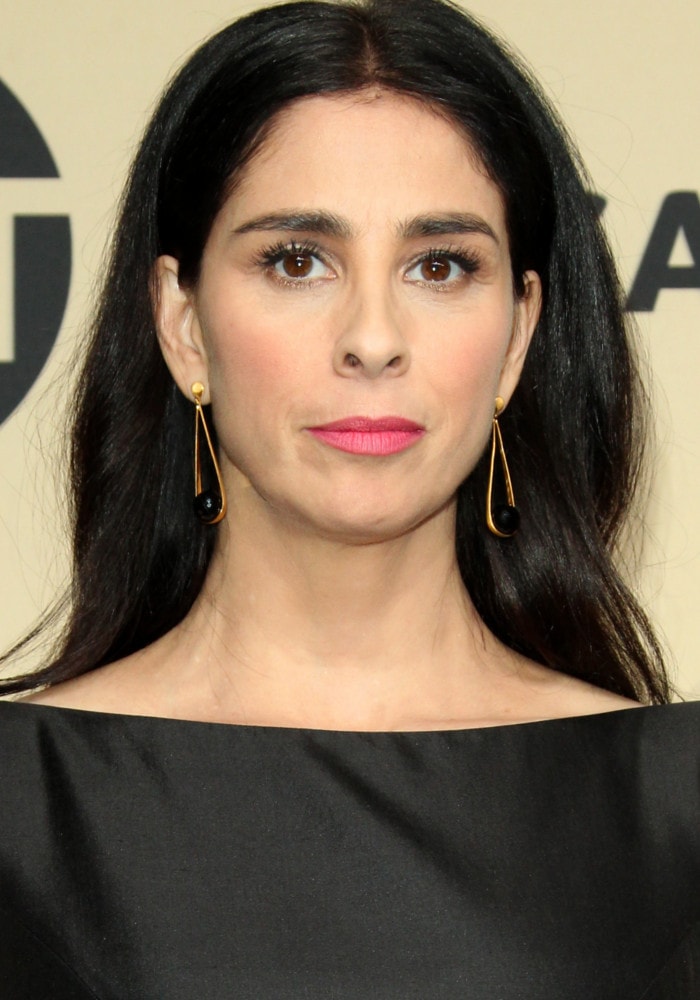 Sarah Silverman embraces understated elegance with sleek dark hair, soft pink makeup, and minimalist drop earrings, highlighting her brown eyes at the 2018 SAG Awards