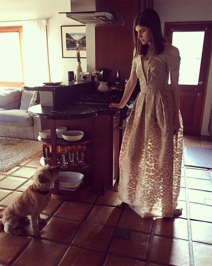 Alexandra Daddario in her Zac Posen leopard-print off-shoulder gown, posing with her terrier, Levon, before the "Rampage" LA premiere in April 2018