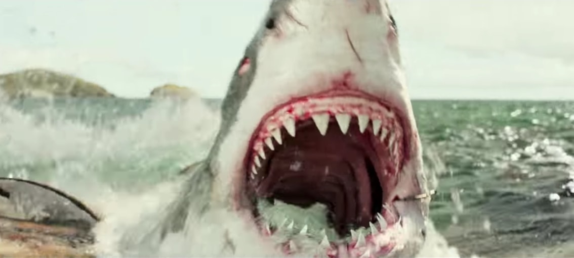 The shark in The Shallows was made entirely through computer-generated imagery