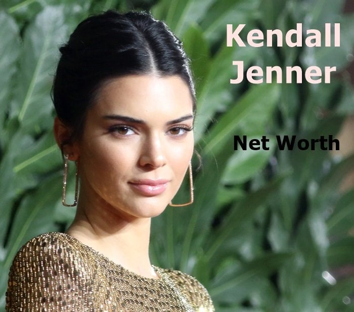 Portrait of Kendall Jenner: An estimated net worth of $30 million reflects her successful career in modeling and media