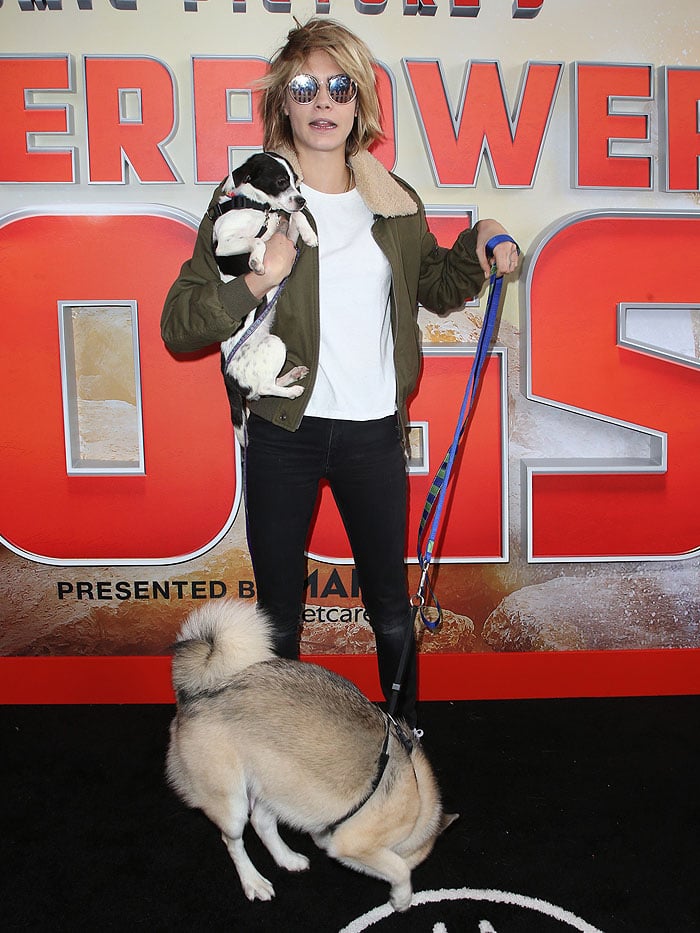 Cara Delevingne trying to handle dogs in a Saint Laurent shearling-collar bomber jacket, black skinny jeans, and PUMA 'Cali' sneakers