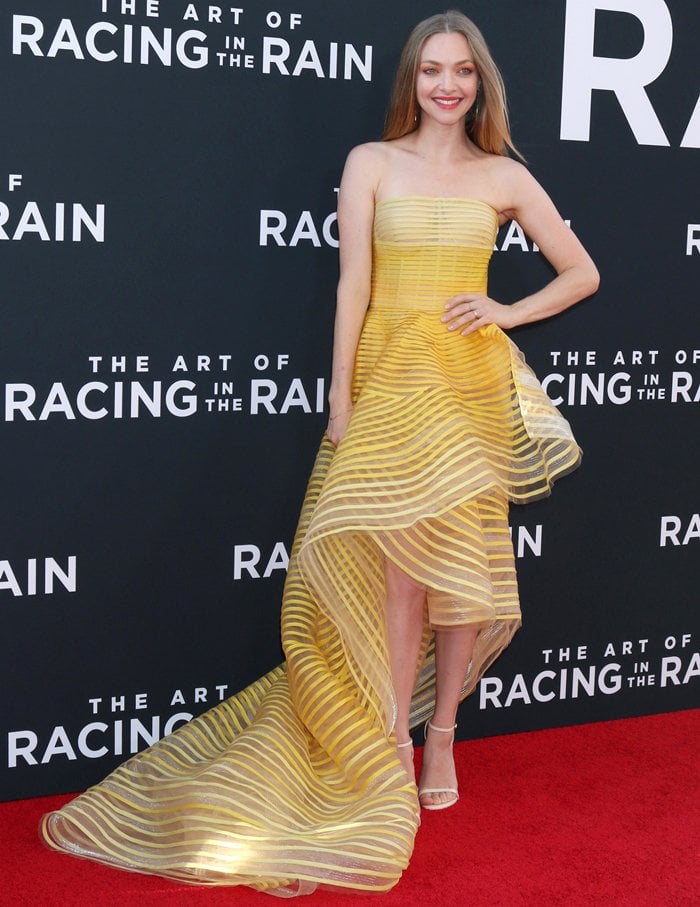 Amanda Seyfried at the premiere of their movie The Art of Racing in the Rain