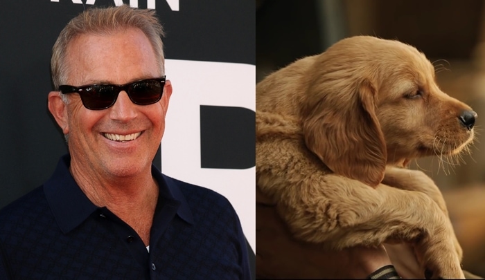 Kevin Costner, who voices the dog Enzo, poses at The Art of Racing in the Rain premiere, alongside a scene featuring the young Golden Retriever playing Enzo in the film