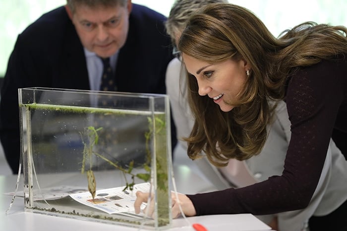 Kate Middleton looking at some of the scientific center's insect and plant species