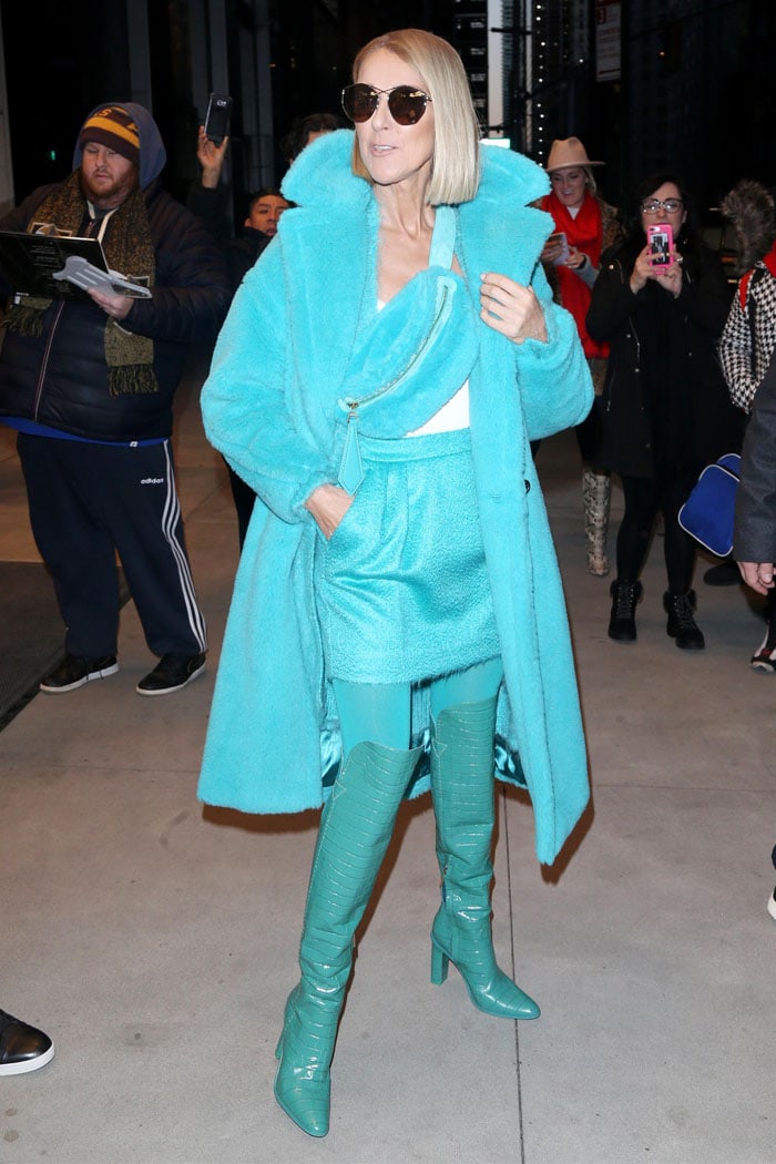 Celine Dion in a turquoise Max Mara outfit