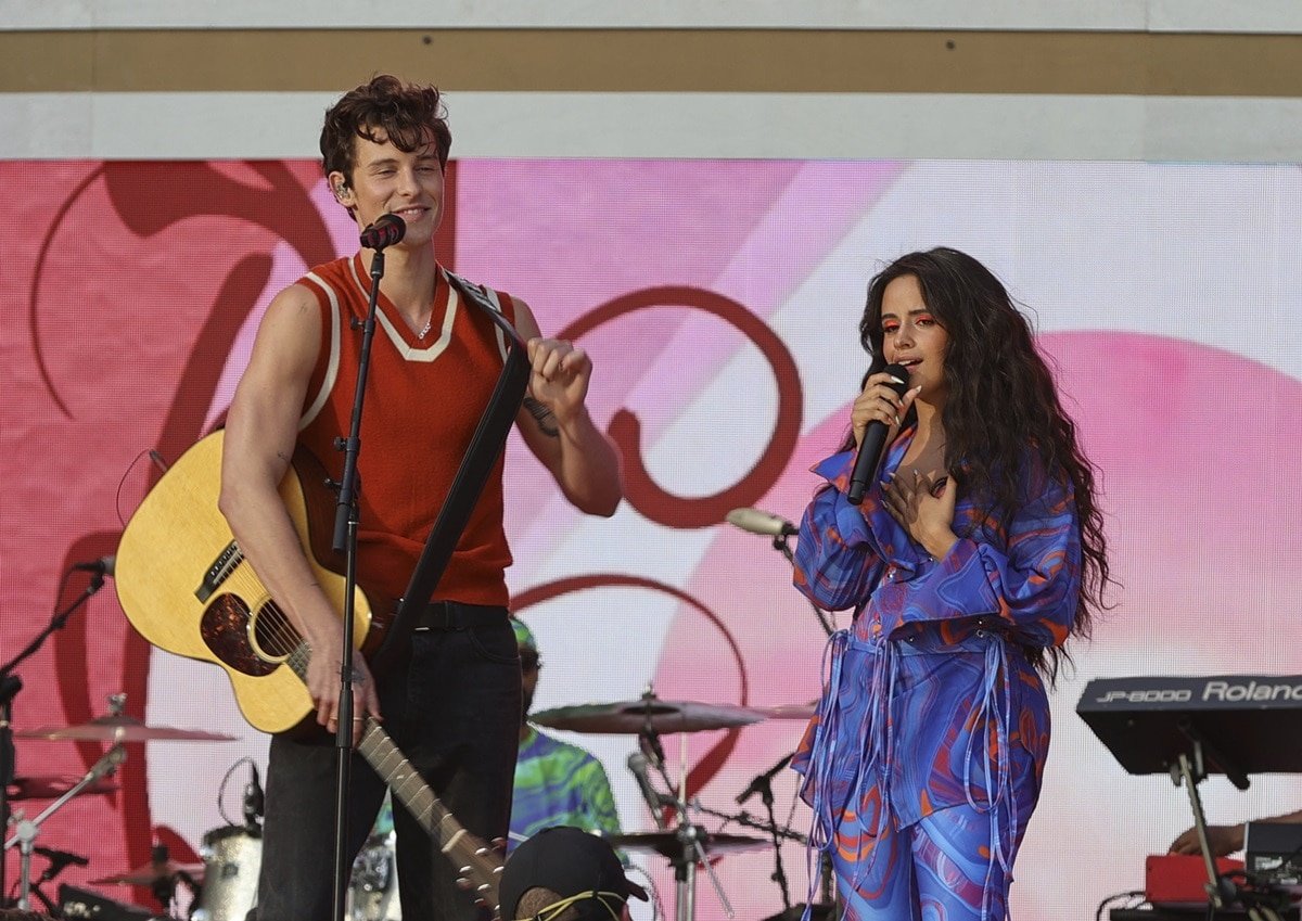 Camila Cabello and Shawn Mendes started dating in the summer of 2019 and announced their split in November 2021