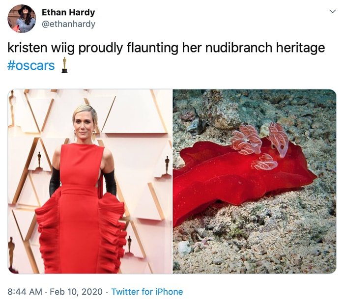 Kristen Wiig proudly flaunting her nudibranch heritage