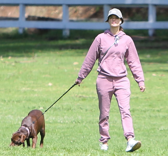 Alessandra Ambrosio takes her dog Cinnamon for a stroll in the Pacific Palisades