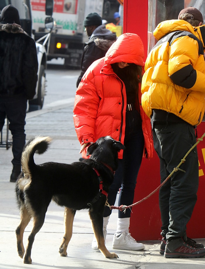 Emily Ratajkowski keeps warm in a red Ienki Ienki puffer jacket as she walks her dog in New York City on January 23, 2020