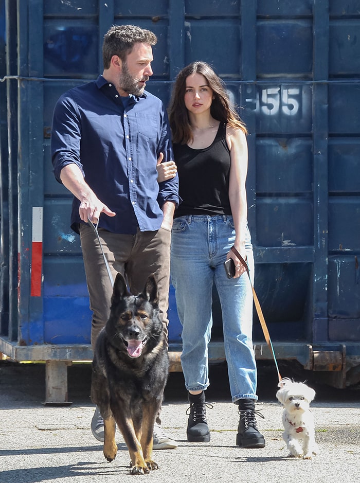 New couple Ben Affleck and Ana de Armas take their dogs out for a wal