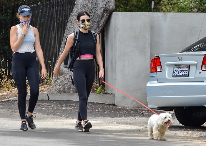 Lucy Hale walks her dog in Los Angeles