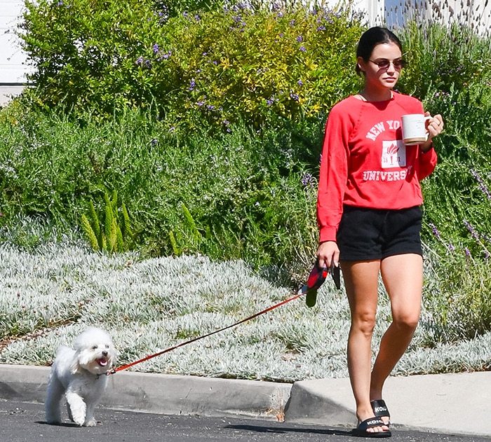 Lucy Hales holds a cup of coffee as she takes her dog out for a walk in Studio City on July 16, 2020