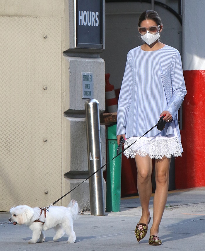 Olivia Palermo shows off her legs in a Zara striped tunic and white laced dress