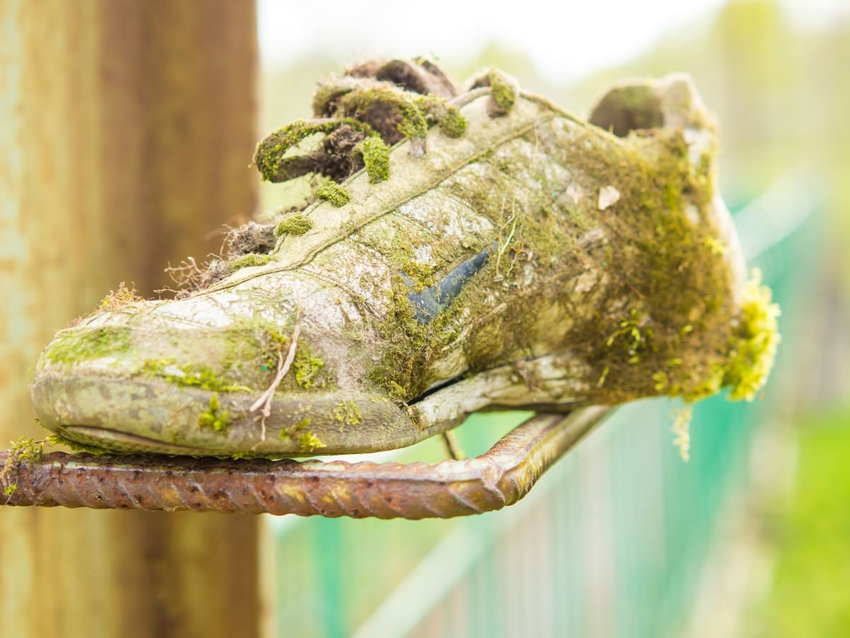 You'll need a lot of patience to clean these white moss-covered Nike sneakers