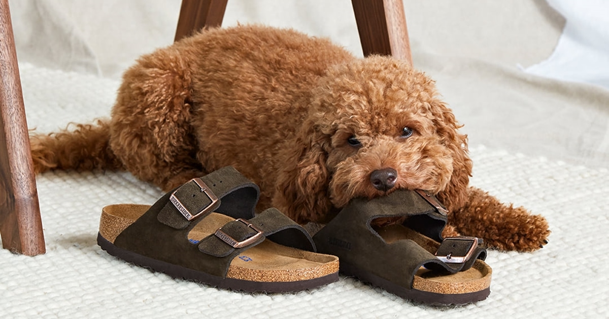 best place to buy sandals online