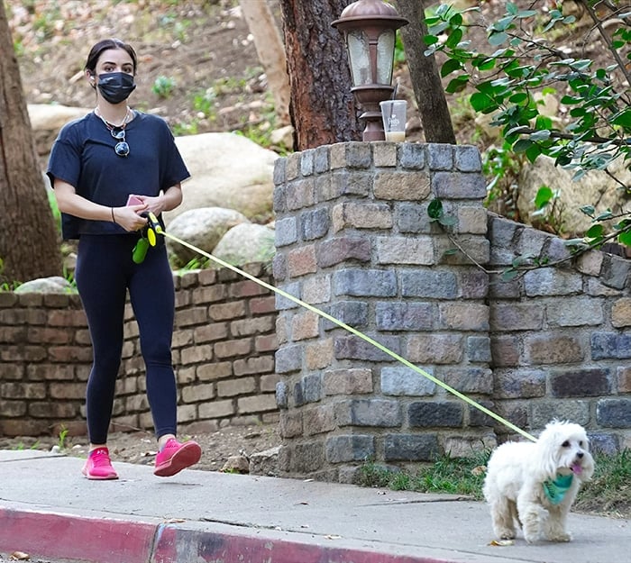 Lucy Hale enjoys a casual hike with her adorable dog Elvis in Studio City, sporting a relaxed workout look with black leggings, a cropped T-shirt, and vibrant pink sneakers on January 18, 2021