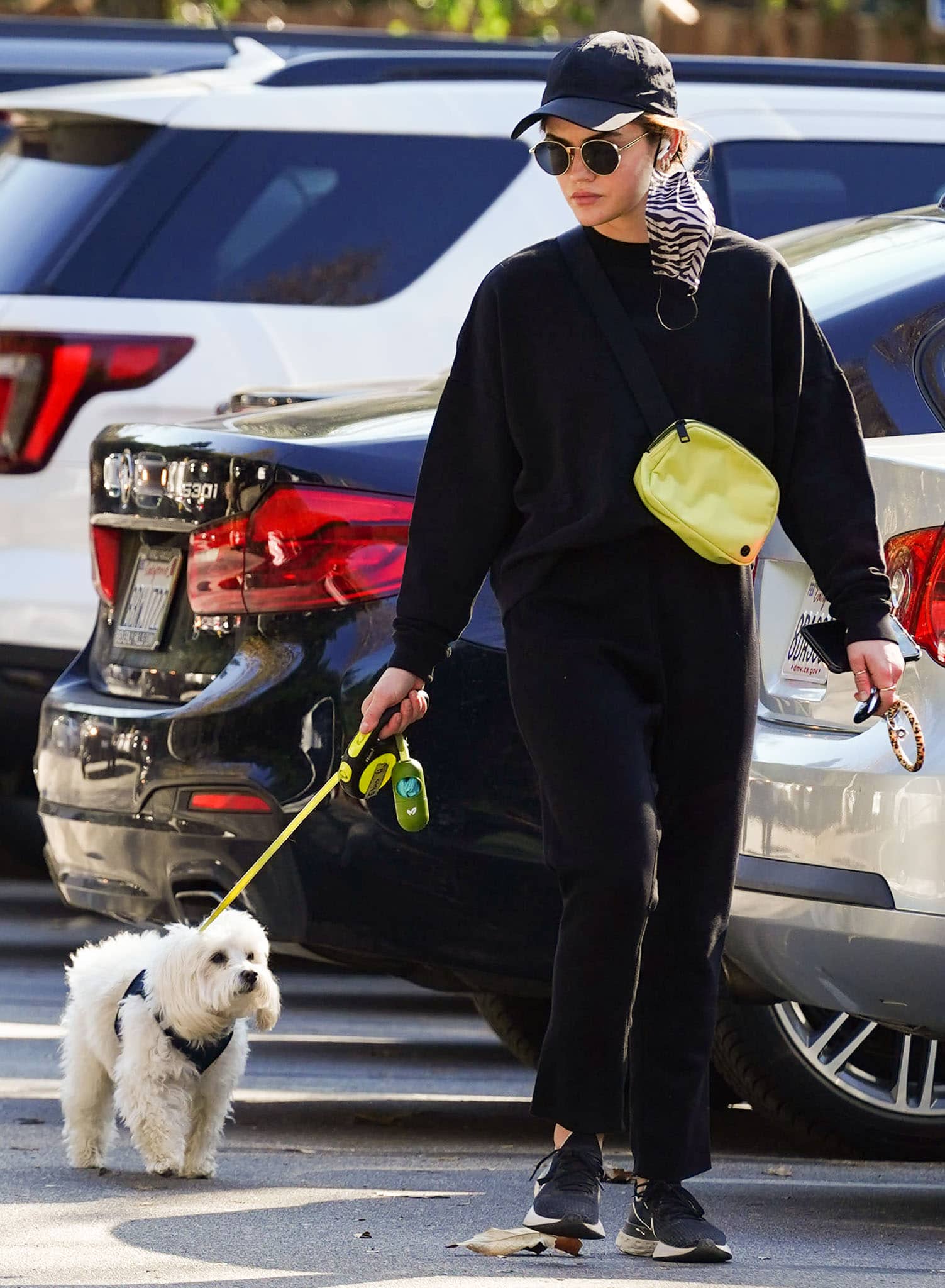 Lucy Hale takes her Maltipoo Elvis out for a walk in a Tkees sweater and pants