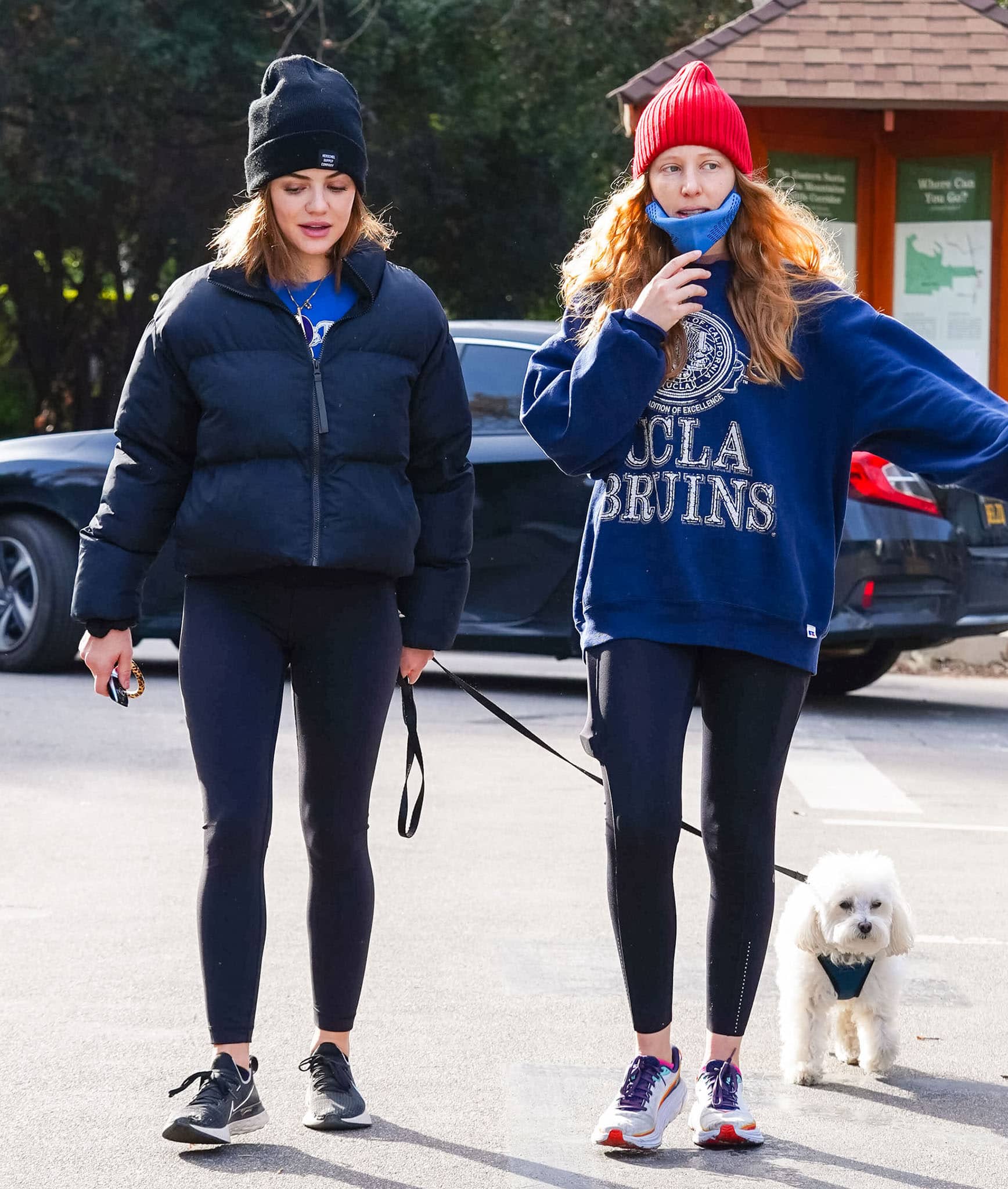 Lucy Hale goes hiking with Elvis and a female friend at Fryman Canyon on February 15, 2021