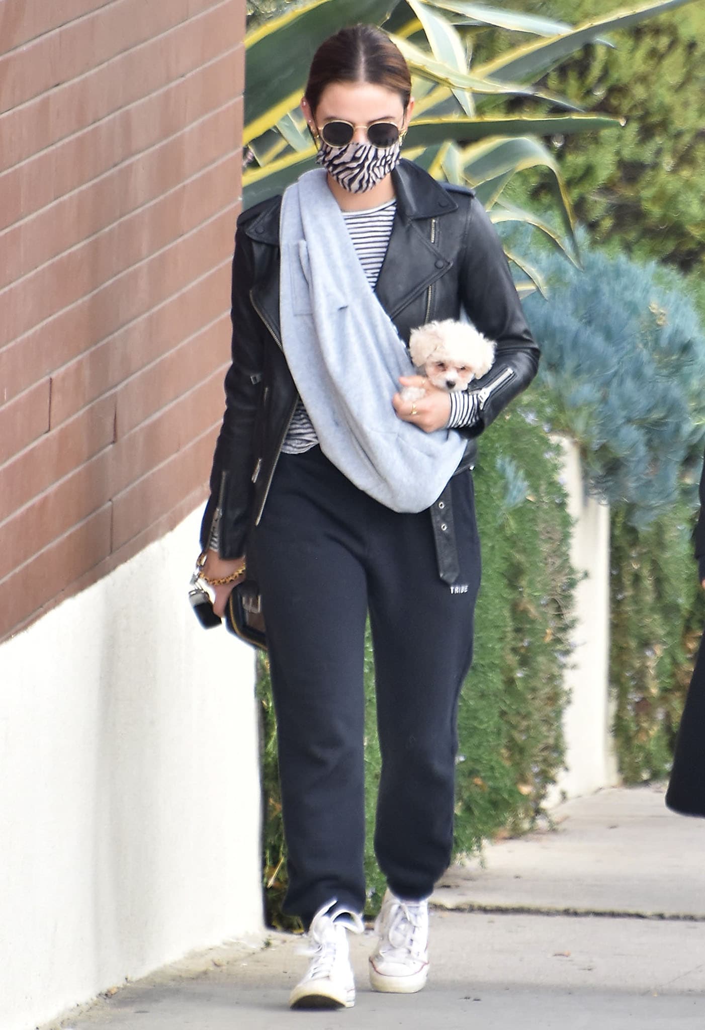 Lucy Hale cradles her newly adopted pup, Ethel, in Tribe Kelley sweatpants